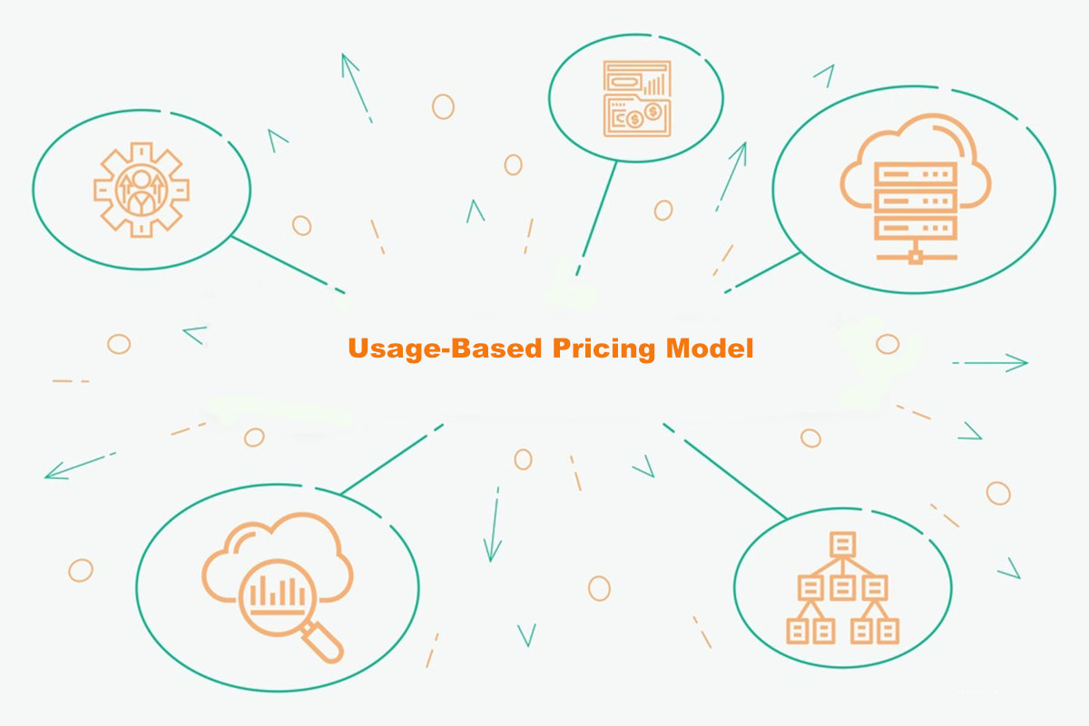 Usage-Based Pricing Model