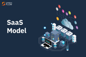 SaaS-model