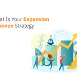 Expansion Revenue Strategy