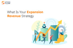 Expansion Revenue Strategy