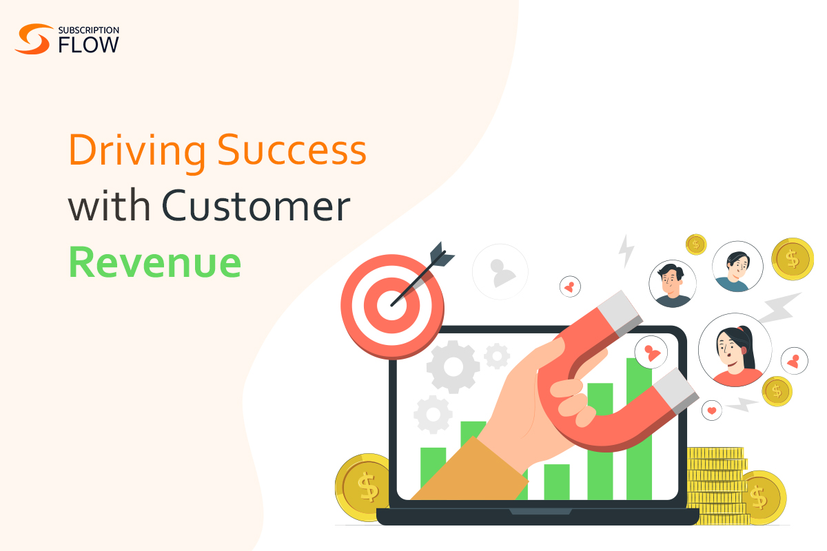 Customer Revenue