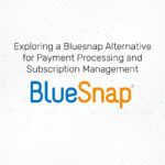 bluesnap alternative