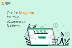 Magento's Custom Checkout